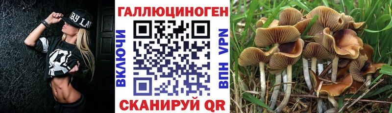 Псилоцибиновые грибы мицелий  Кочубеевское 
